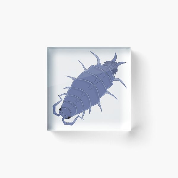 Item preview, Cute sketchy powder blue isopod designed and sold by GnomelyDragon.