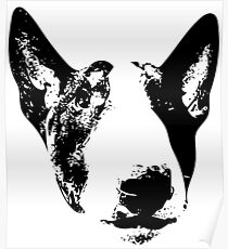 English Bull Terrier Face Poster