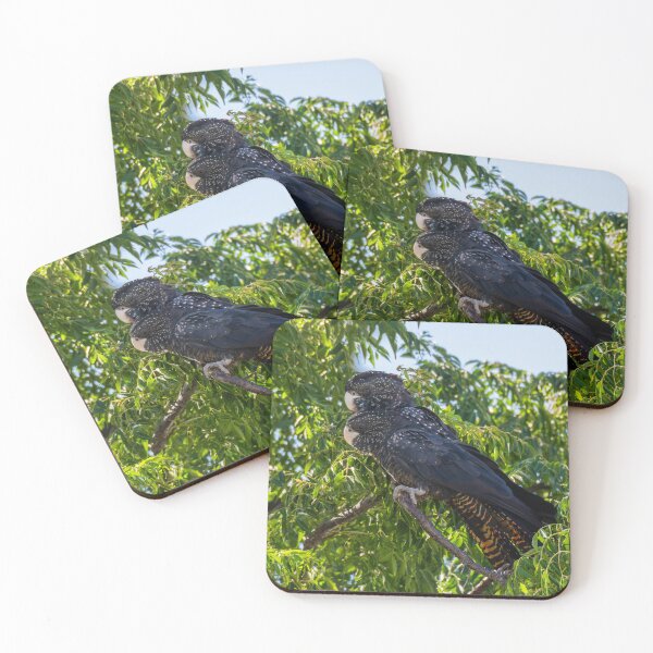 Item preview, Male and Female Red-tailed Black-cockatoo #2 designed and sold by Images by Chris de Blank.