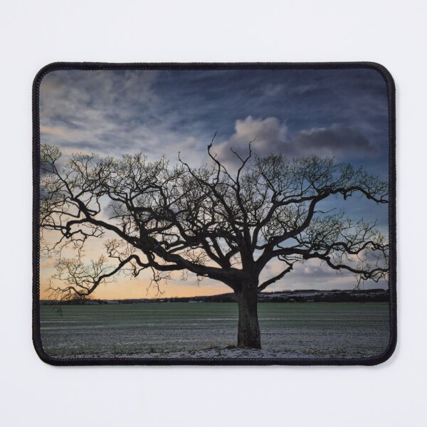 Item preview, Tree designed and sold by JEZ22.