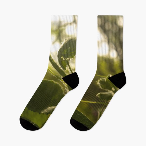 Item preview, green with afternoon glow designed and sold by felipequeiroz.