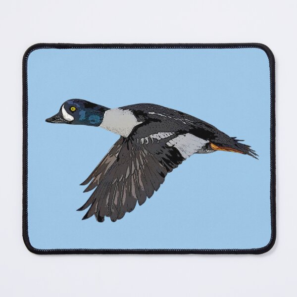 Item preview, Barrow's Goldeneye Color Design designed and sold by designsasstultd.