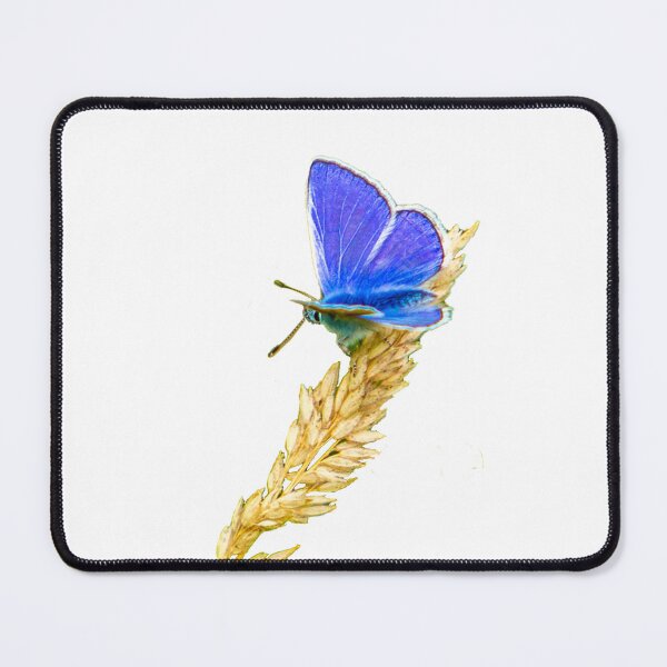 Item preview, Blue butterfly on grasshead designed and sold by Dalyndigital Photography.