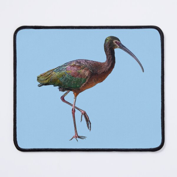 Item preview, White-faced Ibis Color Design designed and sold by designsasstultd.