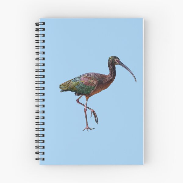 Item preview, White-faced Ibis Color Design  designed and sold by designsasstultd.