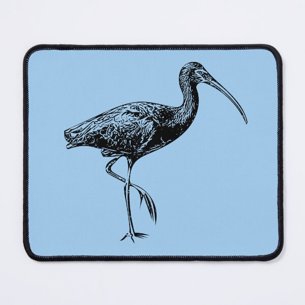Item preview, White-faced Ibis Black Design designed and sold by designsasstultd.