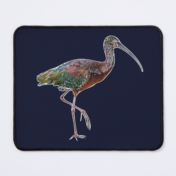 Item preview, White-faced Ibis White Alternate Design designed and sold by designsasstultd.
