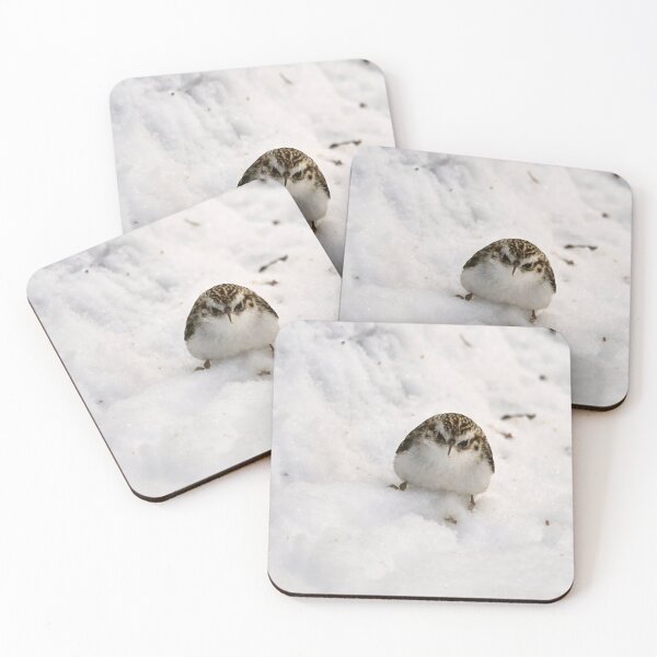 Item preview, Snow panorama. Eurasian treecreeper designed and sold by Jouko Lehto Photography.