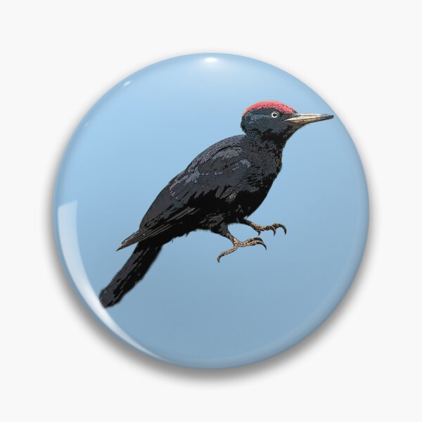 Item preview, Black Woodpecker Color Design  designed and sold by designsasstultd.