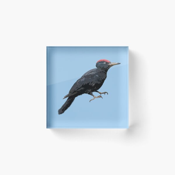 Item preview, Black Woodpecker Color Design  designed and sold by designsasstultd.