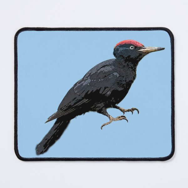 Item preview, Black Woodpecker Color Design  designed and sold by designsasstultd.