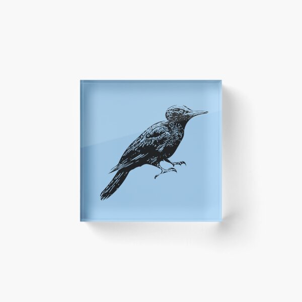 Item preview, Black Woodpecker Black Design  designed and sold by designsasstultd.