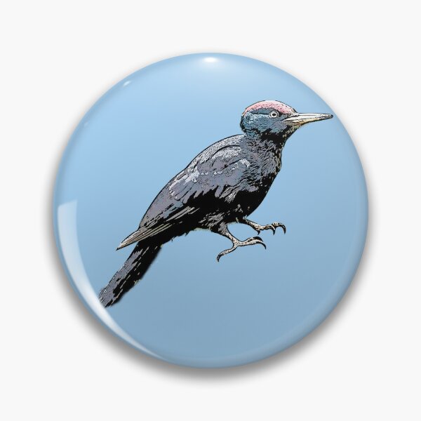 Item preview, Black Woodpecker Black Alternate Design  designed and sold by designsasstultd.