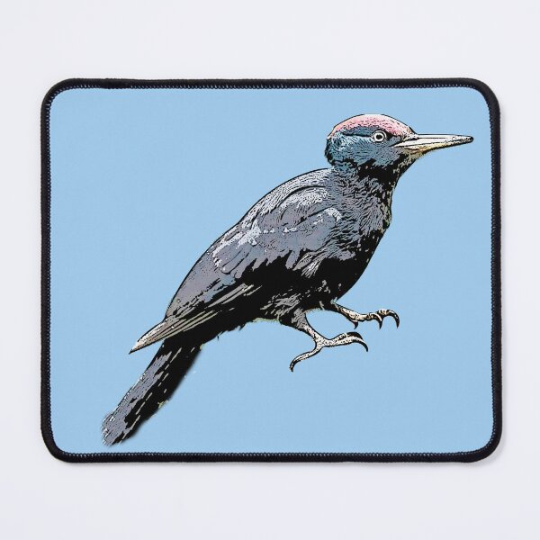 Item preview, Black Woodpecker Black Alternate Design designed and sold by designsasstultd.