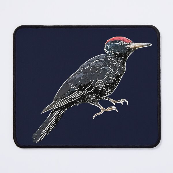 Item preview, Black Woodpecker White Alternate Design  designed and sold by designsasstultd.