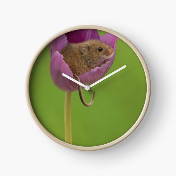 Item preview, Cosecha de ratón en una flor de tulipán designed and sold by Miles Herbert.
