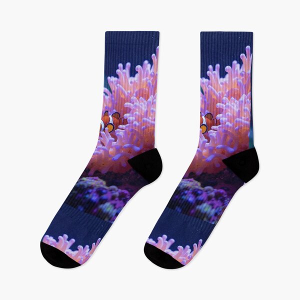 Item preview, Enchanted anemone haven clownfish peekaboo designed and sold by ShroomForge.