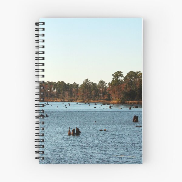 Item preview, Tree Stumps In The Lake designed and sold by Cynthia48.