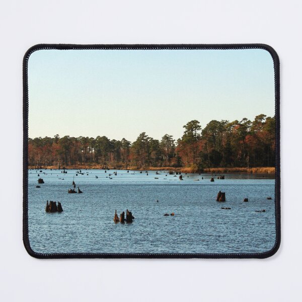 Item preview, Tree Stumps In The Lake designed and sold by Cynthia48.