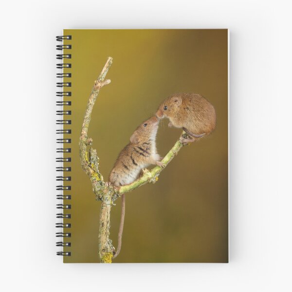Item preview, Cute Animals Harvest Mouse Kiss designed and sold by Miles Herbert.
