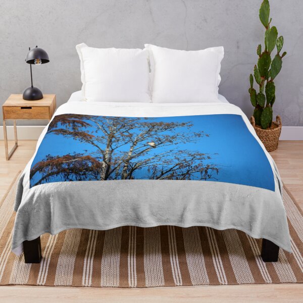 Item preview, Beautiful Hawk In The Morning designed and sold by Cynthia48.