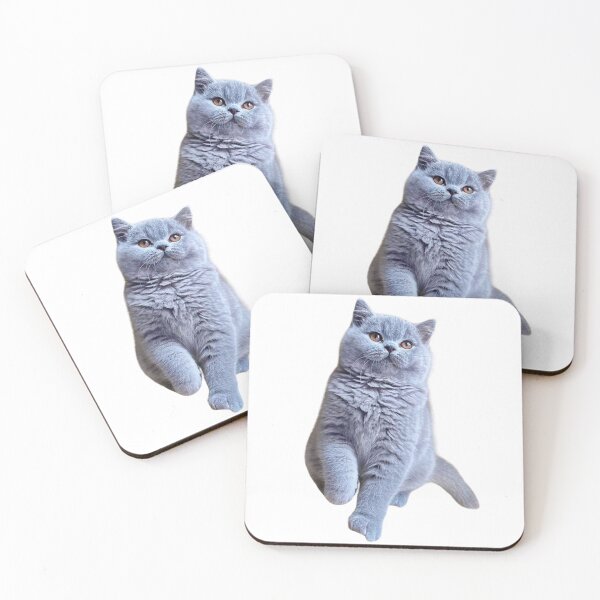 Item preview, My British Shorthair handsome  designed and sold by Dranassben17.