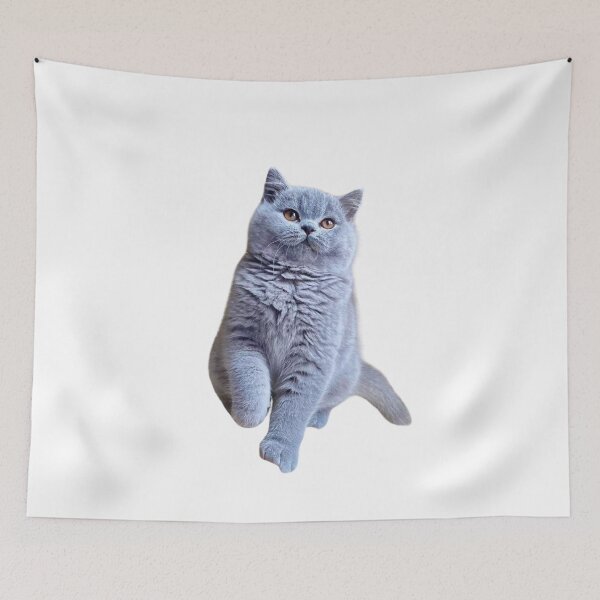 Item preview, My British Shorthair handsome  designed and sold by Dranassben17.