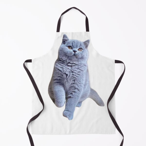 Item preview, My British Shorthair handsome  designed and sold by Dranassben17.