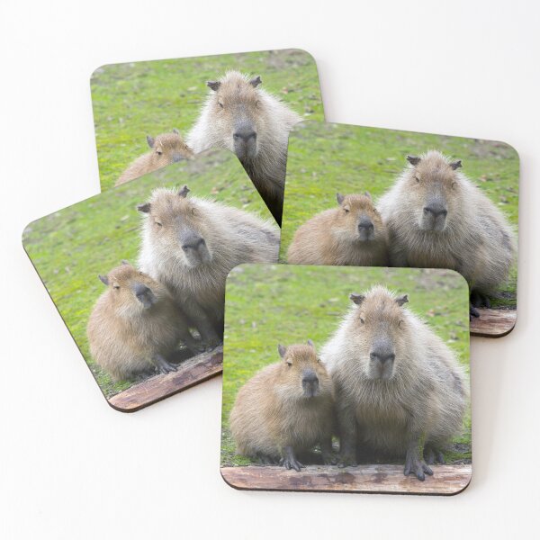 Item preview, Capybara 001 by JAMFoto designed and sold by JAMFoto.