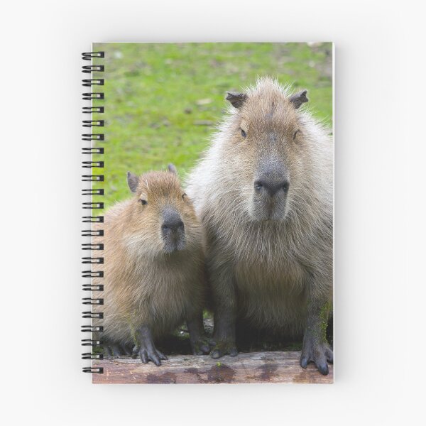 Item preview, Capybara 001 by JAMFoto designed and sold by JAMFoto.