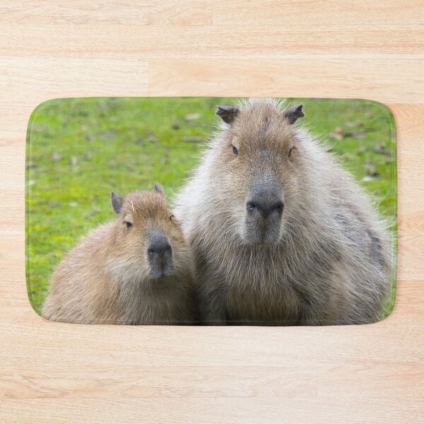 Item preview, Capybara 001 by JAMFoto designed and sold by JAMFoto.