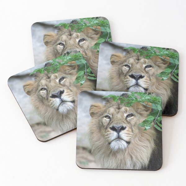 Item preview, Lion 002 by JAMFoto designed and sold by JAMFoto.