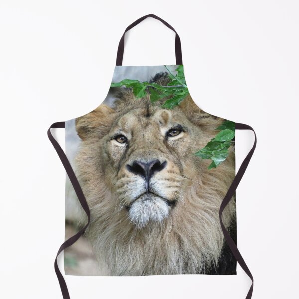 Artikelvorschau, Lion 002 by JAMFoto entworfen und verkauft von JAMFoto.