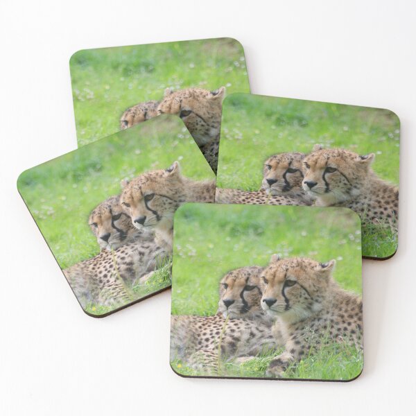 Item preview, Cheetah 001 by JAMFoto designed and sold by JAMFoto.