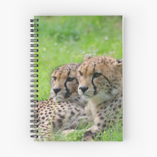 Item preview, Cheetah 001 by JAMFoto designed and sold by JAMFoto.