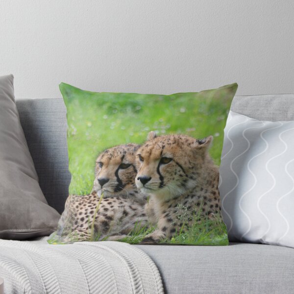 Item preview, Cheetah 001 by JAMFoto designed and sold by JAMFoto.
