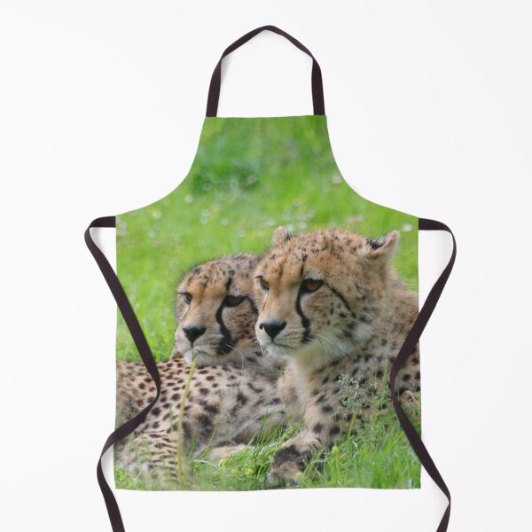 Artikelvorschau, Cheetah 001 by JAMFoto entworfen und verkauft von JAMFoto.