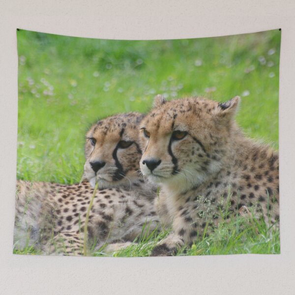 Item preview, Cheetah 001 by JAMFoto designed and sold by JAMFoto.