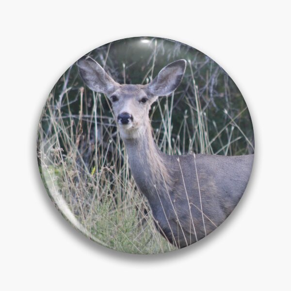Item preview, Mule Deer Doe designed and sold by Backyardtrail.