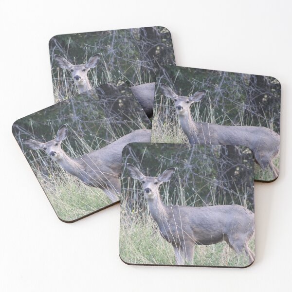 Item preview, Mule Deer Doe designed and sold by Backyardtrail.