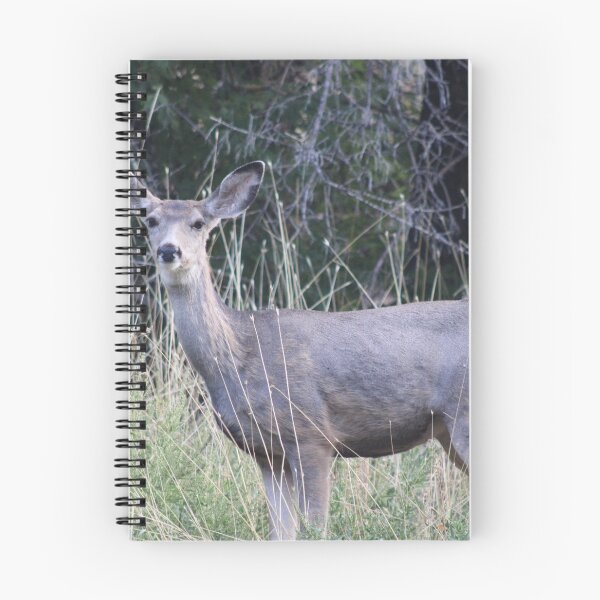 Item preview, Mule Deer Doe designed and sold by Backyardtrail.