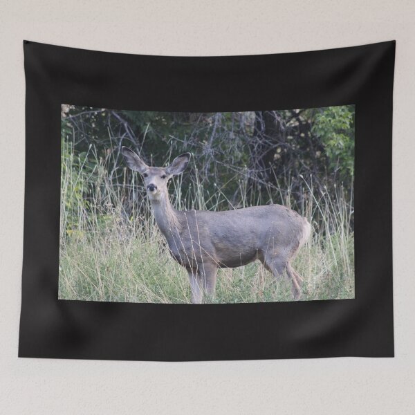 Item preview, Mule Deer Doe designed and sold by Backyardtrail.