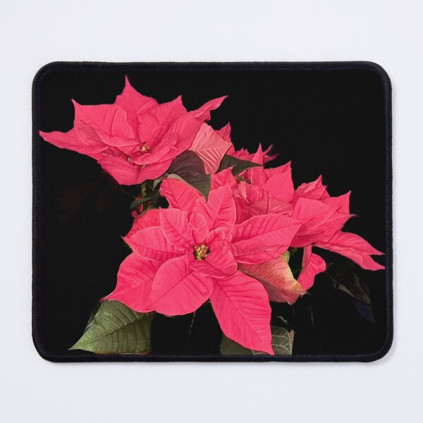 Item preview, Poinsettia plant with beautiful red petals designed and sold by AB Photostudio.