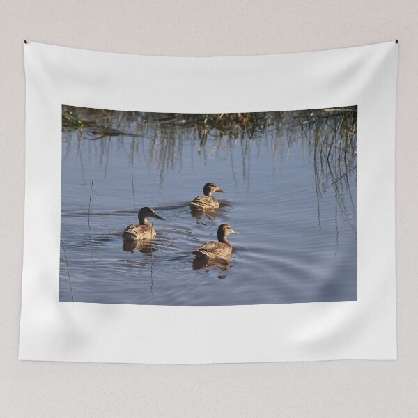 Item preview, Duck! designed and sold by Backyardtrail.