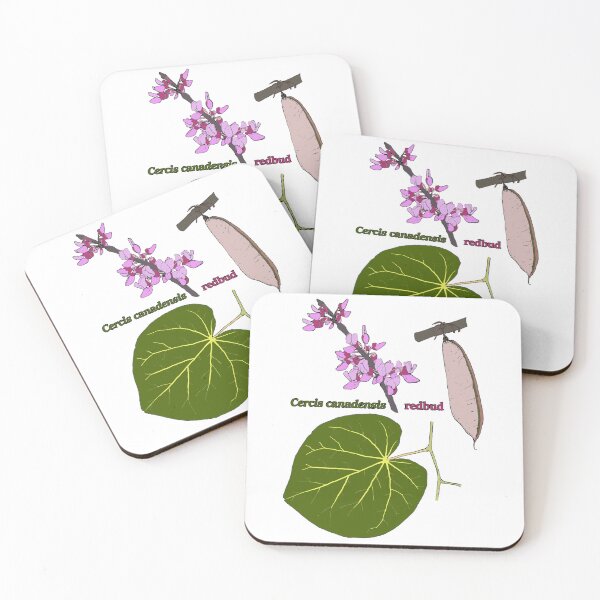 Item preview, Cercis canadensis designed and sold by paleoforaging.