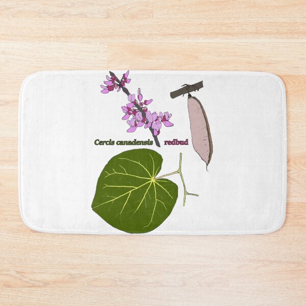 Item preview, Cercis canadensis designed and sold by paleoforaging.