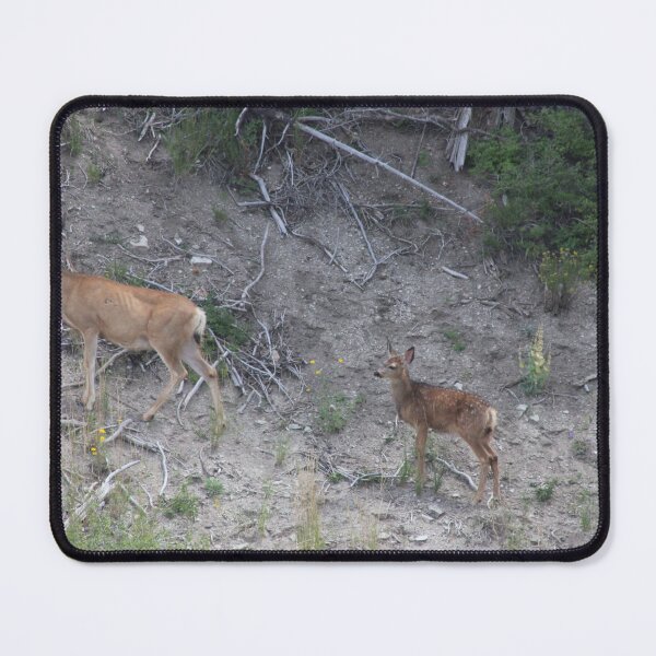 Item preview, Deer! designed and sold by Backyardtrail.
