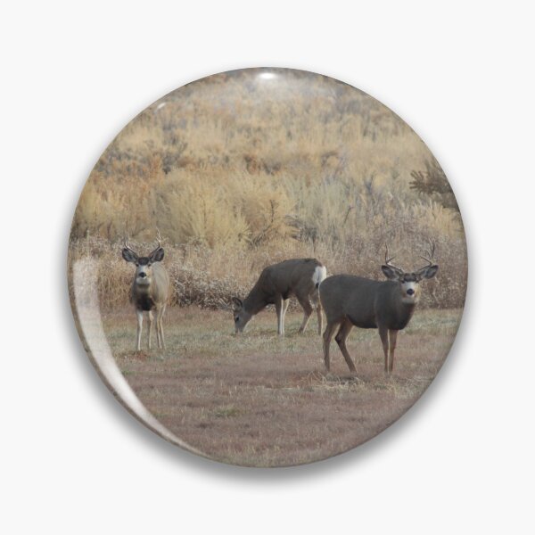 Item preview, Mule Deer Bucks! designed and sold by Backyardtrail.