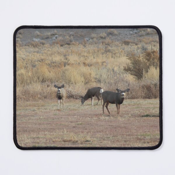 Item preview, Mule Deer Bucks! designed and sold by Backyardtrail.