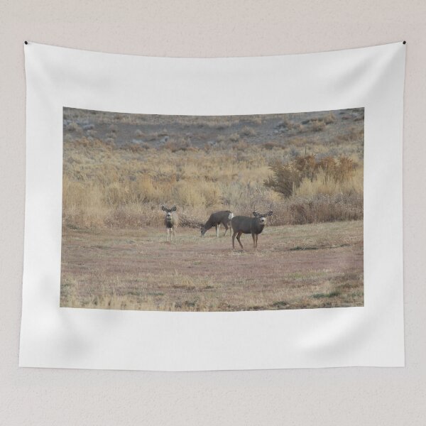 Item preview, Mule Deer Bucks! designed and sold by Backyardtrail.